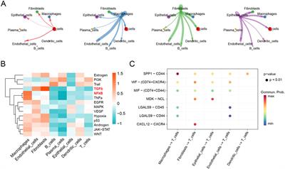 Integrated analysis of single-cell and bulk transcriptome reveals hypoxia-induced immunosuppressive microenvironment to predict immunotherapy response in high-grade serous ovarian cancer